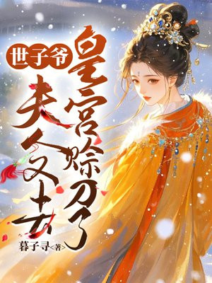 世子爷，夫人又去皇宫赊刀了